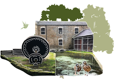 water wheel and building
