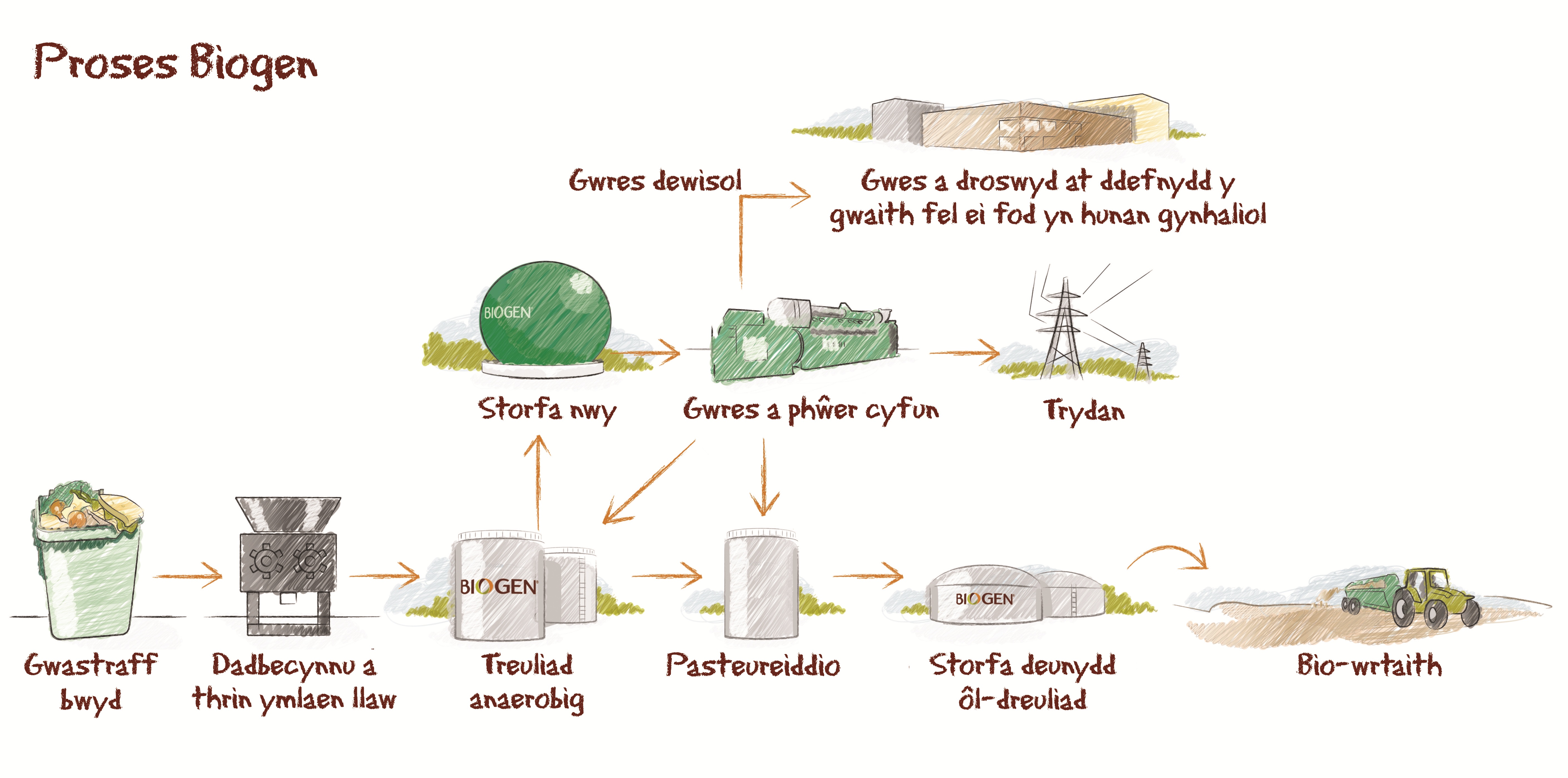 BIOGEN PROCESS CYM