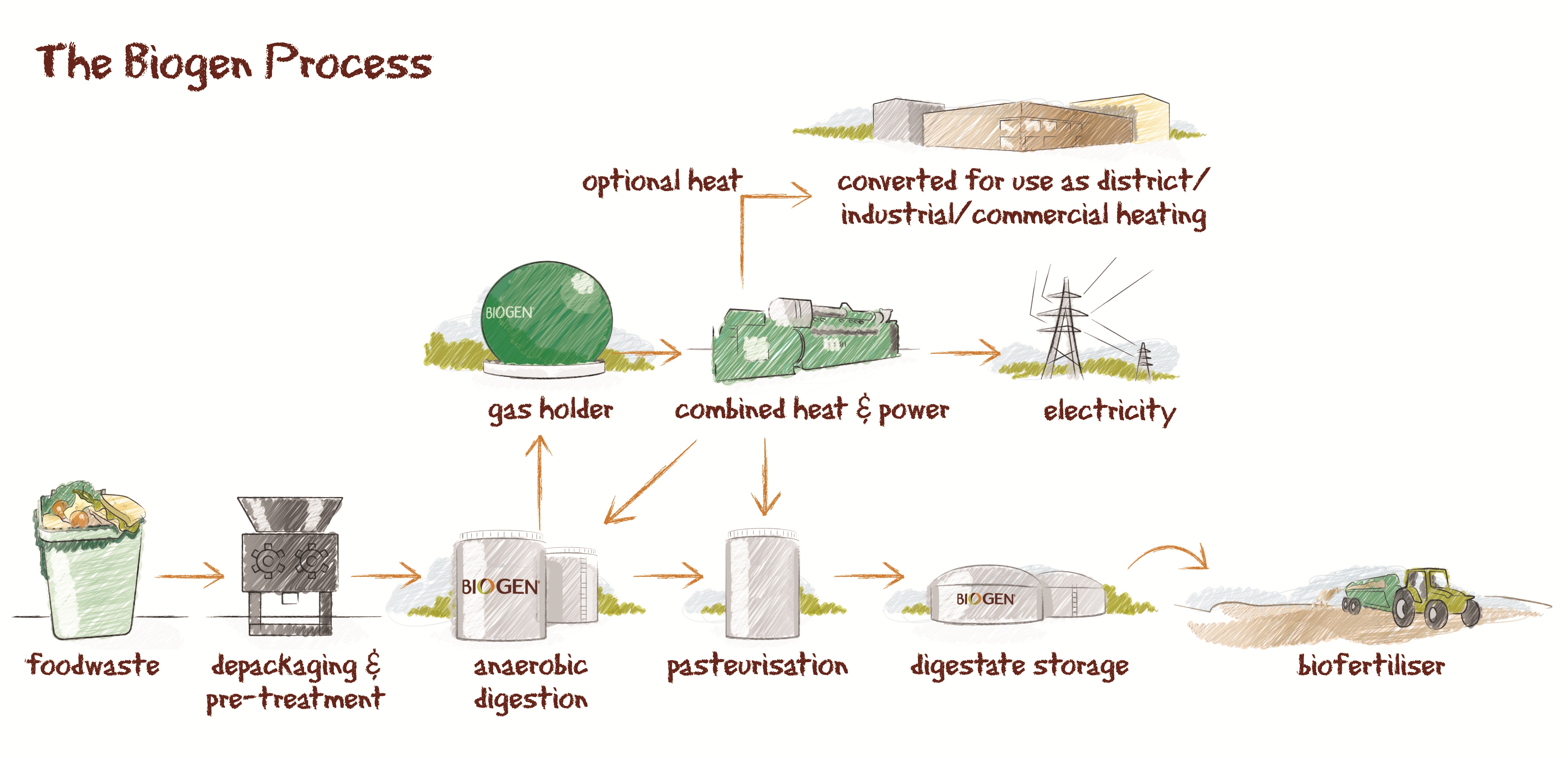BIOGEN PROCESS ENG