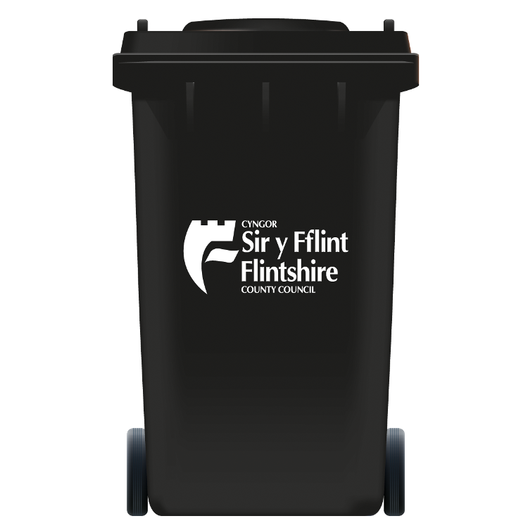 Bin Du / Black Bin