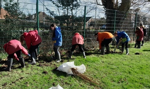 Tree planting intiative