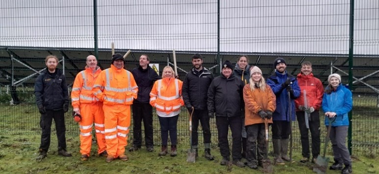 Tree planting