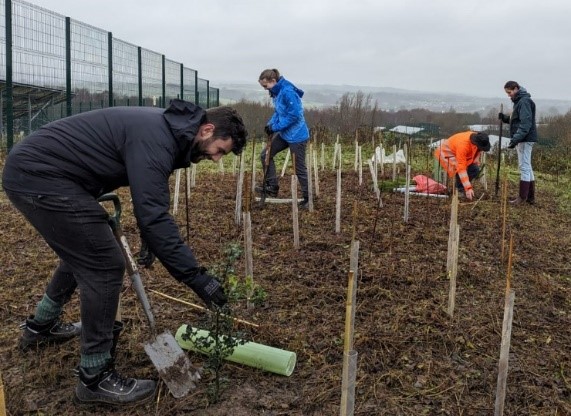 Tree planting