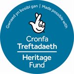 Welsh_stamp_colour_JPEG