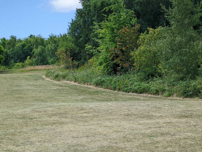 Reduced mow in Drury