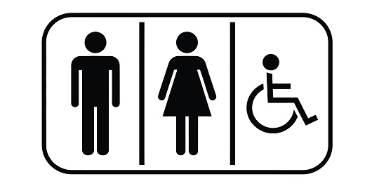 Public Consultation on the Future of Public Toilets at Holywell, Mold and Talacre