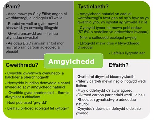 Environment Cym