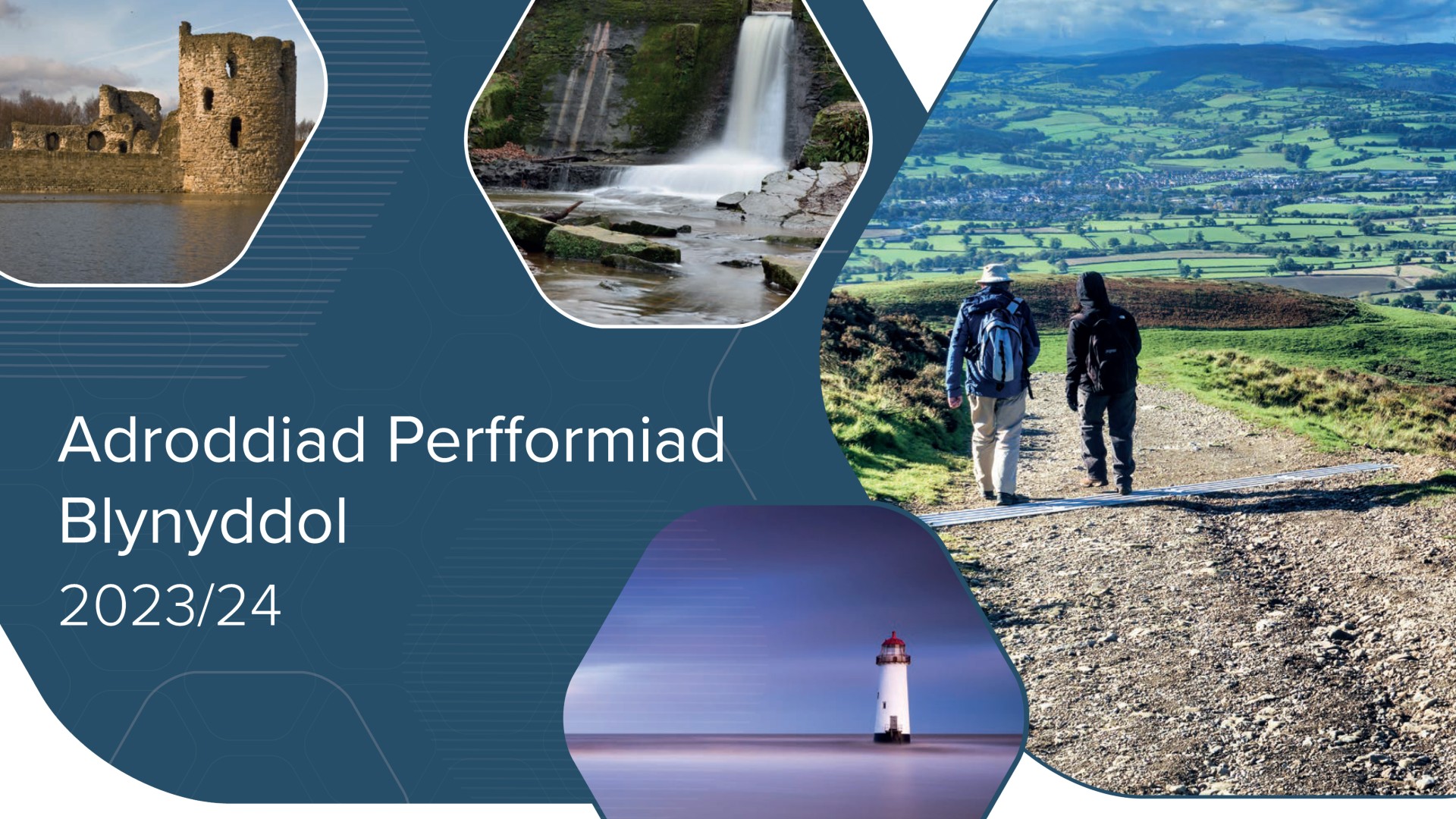 Adroddiad Performiad Blynyddol