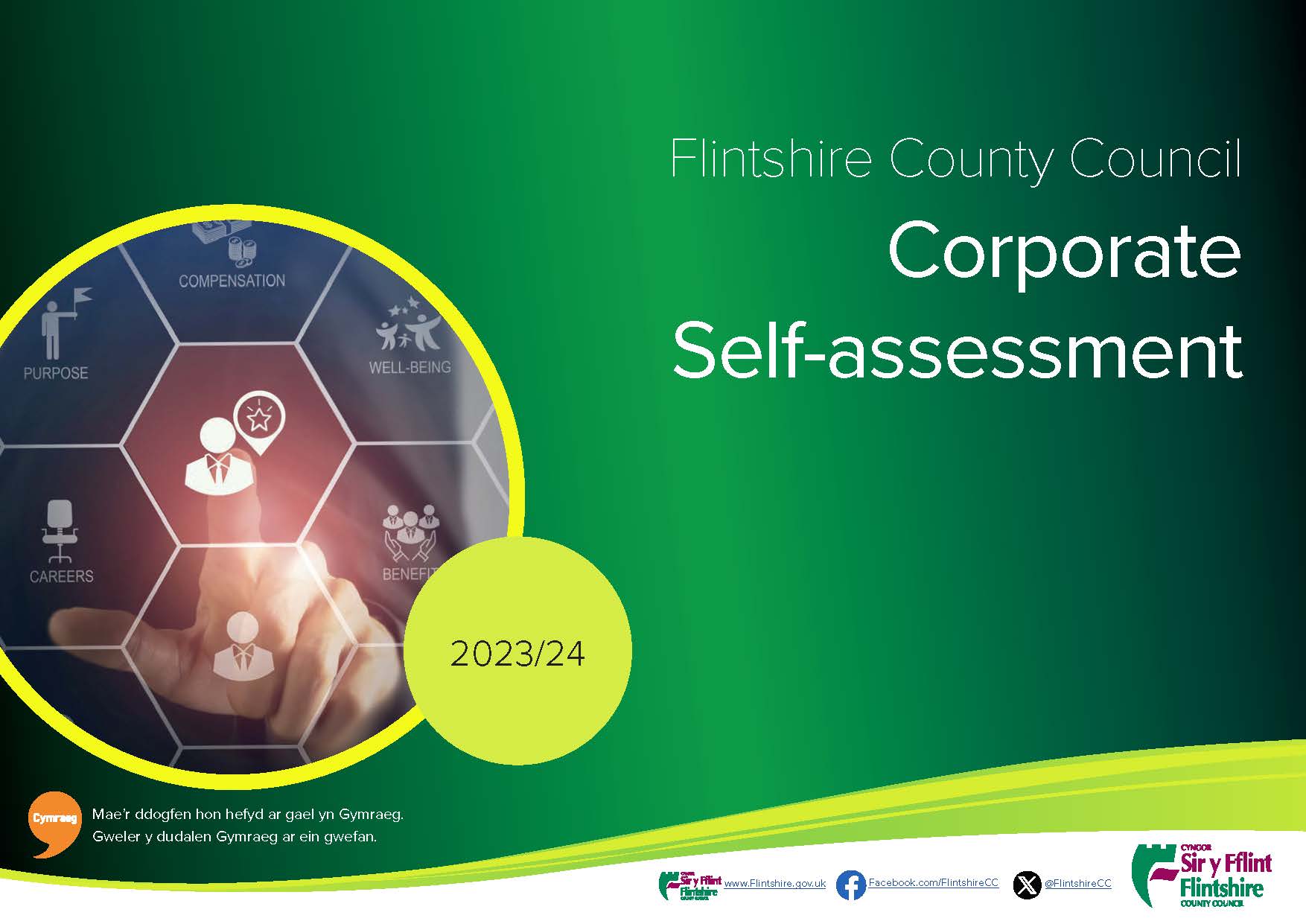 Corporate Self-assessment