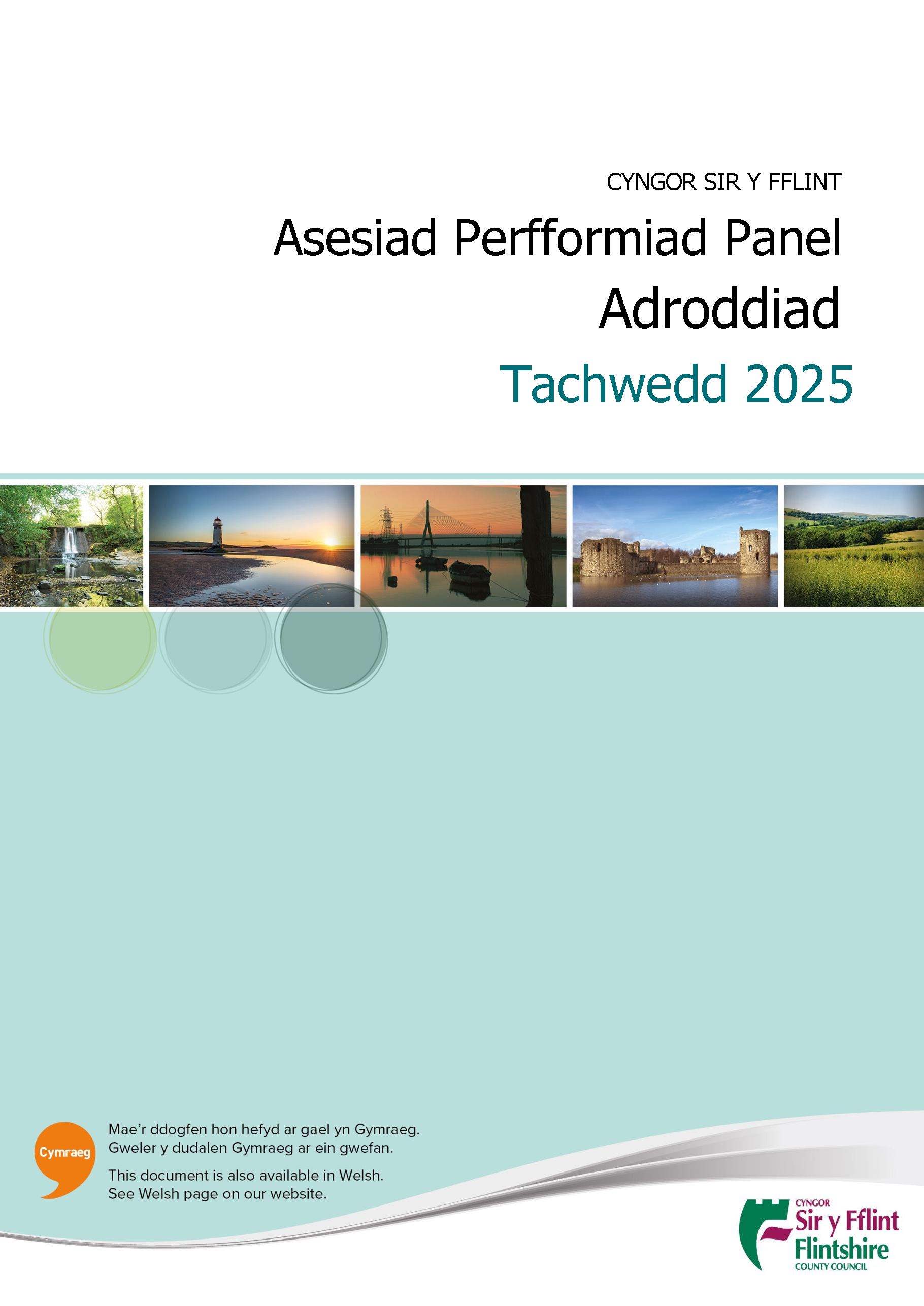 Asesiad Perfformiad Panel