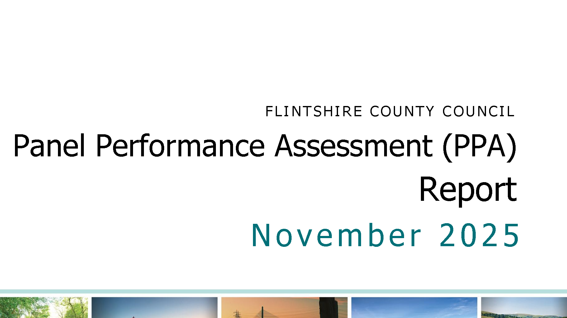 Panel Performance Assessment