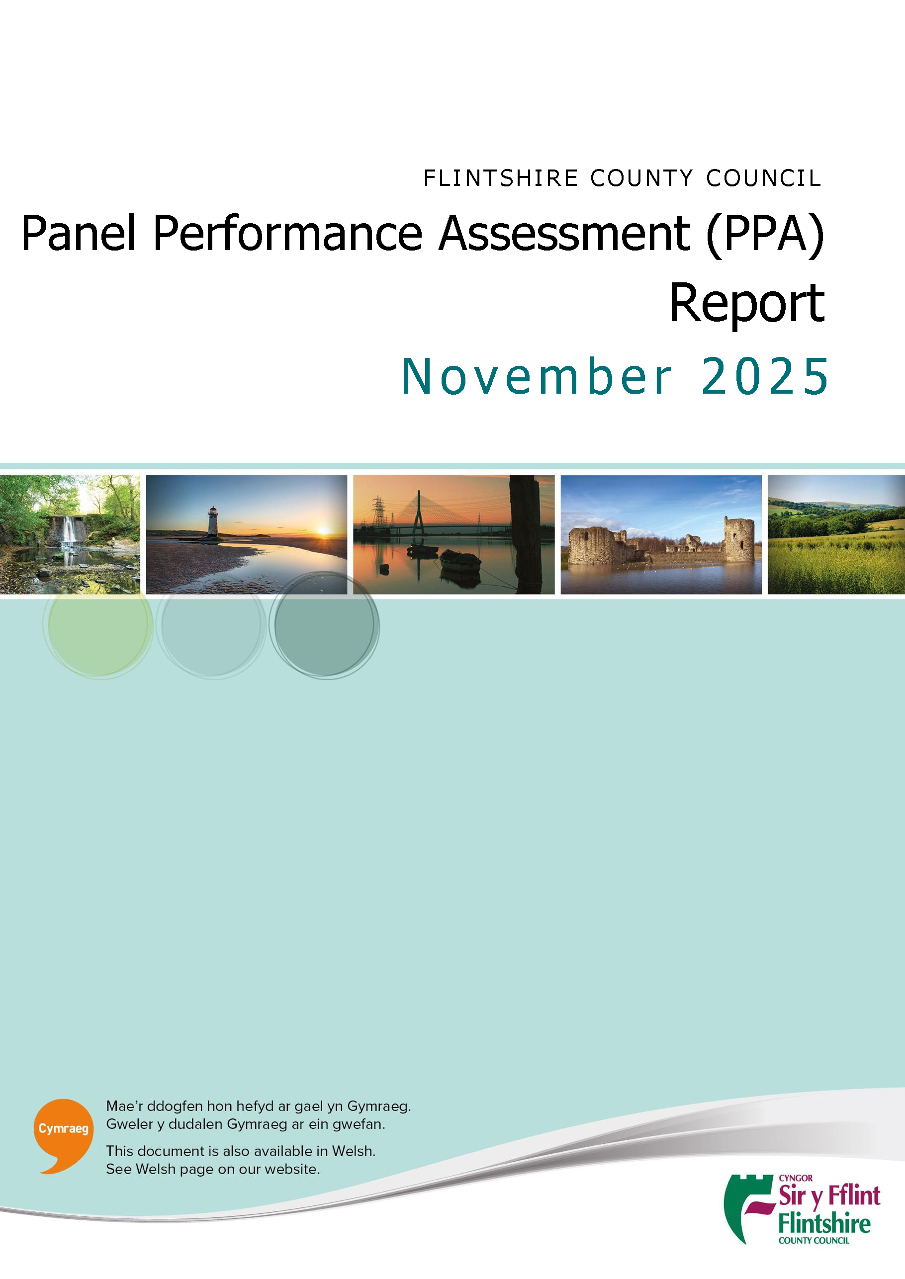 Panel Performance Assessment