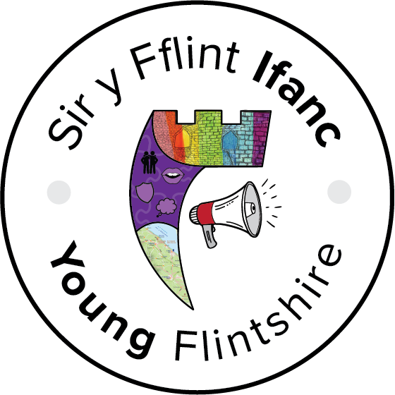 Sir y Fflint Ifanc - Young Flintshire