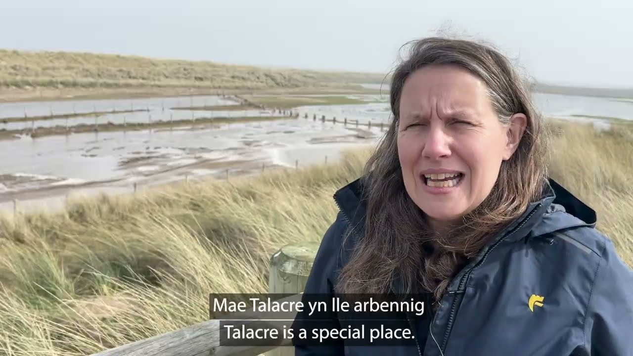 TalacreBoardwalk